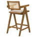 Kane Bar Stool - Orbit Furniture (Richmond,BC)