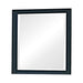 Sandy Beach Vertical Dresser Mirror Black - Orbit Furniture (Richmond,BC)