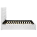 Felicity Beds - Orbit Furniture (Richmond,BC)