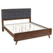 Robyn California King, E.King, & Queen Bed with Upholstered Headboard Dark Walnut - Orbit Furniture (Richmond,BC)