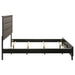 Watson Queen Beds - Orbit Furniture (Richmond,BC)
