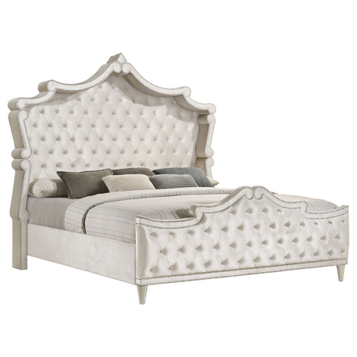 Antonella Beds - Orbit Furniture (Richmond,BC)