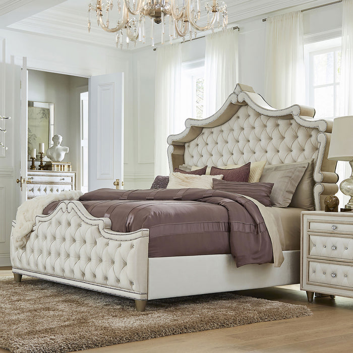 Antonella Queen Beds - Orbit Furniture (Richmond,BC)