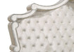 Antonella Queen Beds - Orbit Furniture (Richmond,BC)