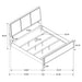 Arini Bedroom Set Beige - Orbit Furniture (Richmond,BC)