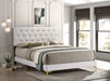 Kendall Upholstered Panel Bed - Orbit Furniture (Richmond,BC)