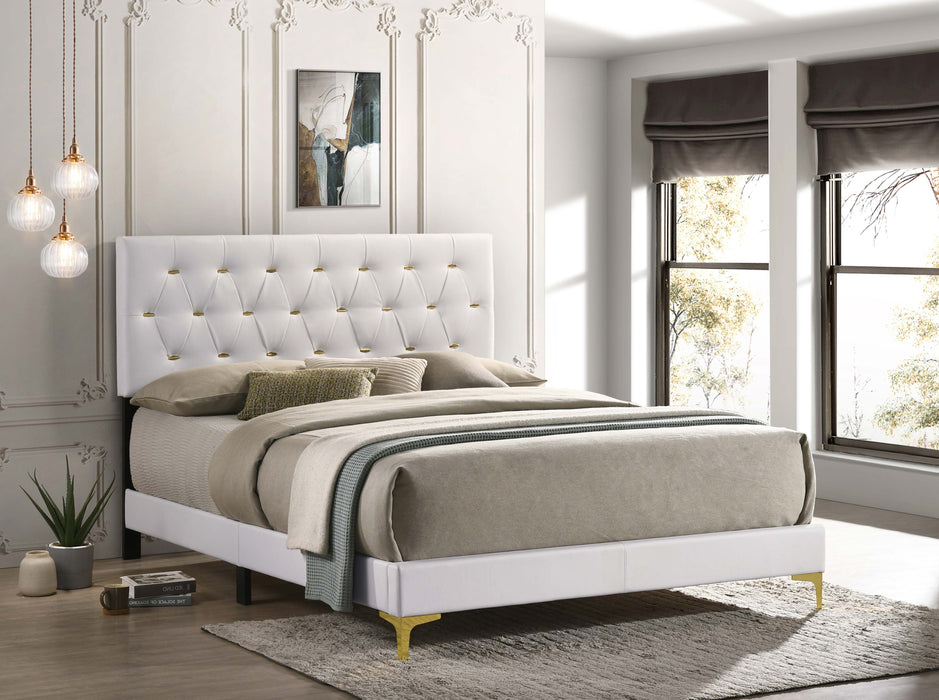 Kendall Upholstered Panel Bed - Orbit Furniture (Richmond,BC)