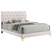 Kendall Upholstered Panel Bed - Orbit Furniture (Richmond,BC)