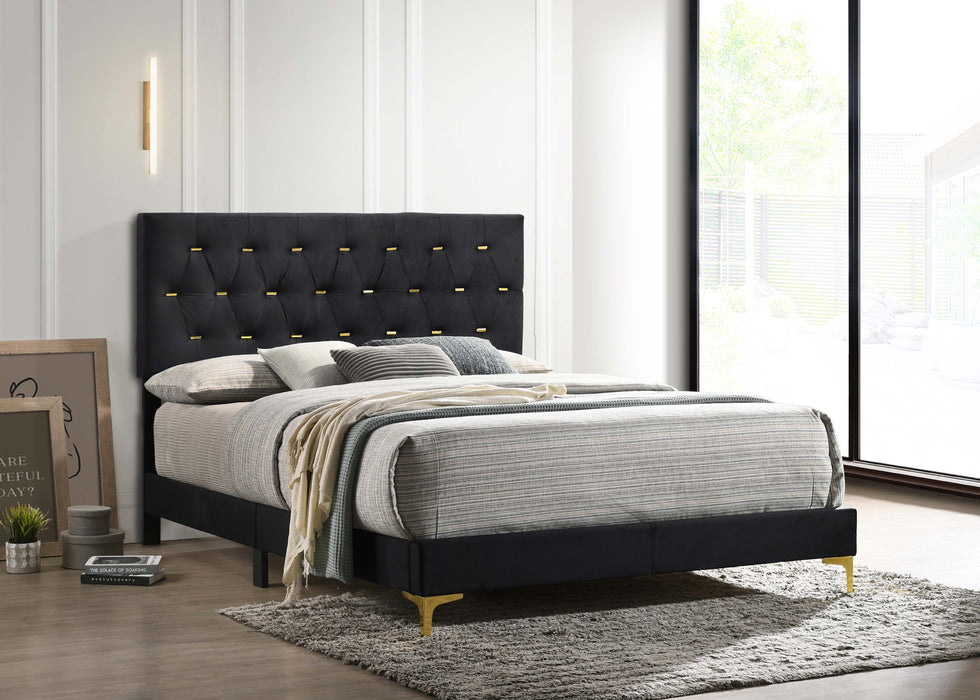 Kendall Upholstered Panel Bed - Orbit Furniture (Richmond,BC)