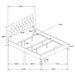 Kendall Upholstered Panel Bed - Orbit Furniture (Richmond,BC)