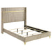 Lucia 4 & 5 Piece Bedroom Set King & Queen Beige & Grey - Orbit Furniture (Richmond,BC)