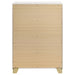 Caraway Chest - Orbit Furniture (Richmond,BC)