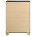 Caraway Chest - Orbit Furniture (Richmond,BC)