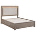 Kenora California King, E.king, & Queen Bed - Orbit Furniture (Richmond,BC)