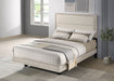 Trenton Beds - Orbit Furniture (Richmond,BC)