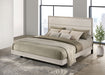 Trenton Beds - Orbit Furniture (Richmond,BC)