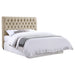 Chloe Full Headboard - Orbit Furniture (Richmond,BC)