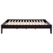 Hounslow Universal Platform Bed - Orbit Furniture (Richmond,BC)