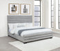Patricia Beds - Orbit Furniture (Richmond,BC)