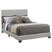 Dorian Beds 5 - Orbit Furniture (Richmond,BC)