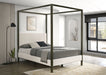 Monroe Eastern King & Queen Bed - Orbit Furniture (Richmond,BC)