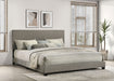 Dorian Panel Beds - Orbit Furniture (Richmond,BC)