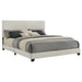 Dorian Panel Beds - Orbit Furniture (Richmond,BC)