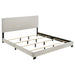 Dorian Panel Beds - Orbit Furniture (Richmond,BC)