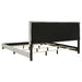 Dorian Panel Beds - Orbit Furniture (Richmond,BC)