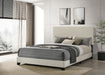 Dorian Panel Beds - Orbit Furniture (Richmond,BC)