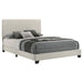 Dorian Panel Beds - Orbit Furniture (Richmond,BC)