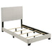 Dorian Panel Beds - Orbit Furniture (Richmond,BC)
