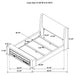 Preston Beds - Orbit Furniture (Richmond,BC)