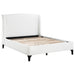 Mosby Queen Beds - Orbit Furniture (Richmond,BC)