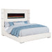 Tisdall Beds - Orbit Furniture (Richmond,BC)