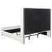 Natasha California King, E.King & Queen Bed - Orbit Furniture (Richmond,BC)