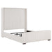 Natasha California King, E.King & Queen Bed - Orbit Furniture (Richmond,BC)