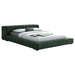 Trinity California King, E.king, Queen, & Full Bed Green & Light Taupe - Orbit Furniture (Richmond,BC)