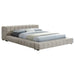 Trinity California King, E.king, Queen, & Full Bed Green & Light Taupe - Orbit Furniture (Richmond,BC)