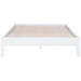 Hounslow Platform Bases - Orbit Furniture (Richmond,BC)