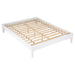 Hounslow Universal Platform Bed - Orbit Furniture (Richmond,BC)