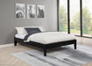 Hounslow Platform Bases - Orbit Furniture (Richmond,BC)