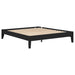 Hounslow Universal Platform Bed - Orbit Furniture (Richmond,BC)