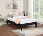 Hounslow Universal Platform Bed - Orbit Furniture (Richmond,BC)