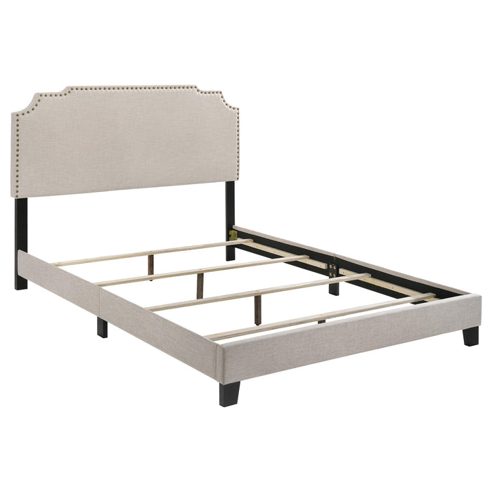 Tamarac Upholstered Nailhead Full, Eastern King & Queen Bed Beige & Grey - Orbit Furniture (Richmond,BC)