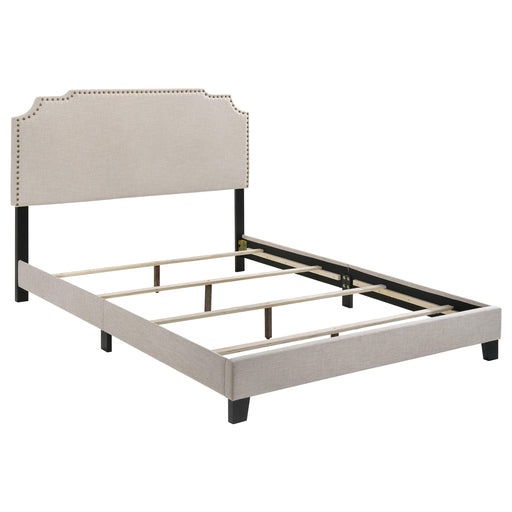 Tamarac Upholstered Nailhead Full, Eastern King & Queen Bed Beige & Grey - Orbit Furniture (Richmond,BC)