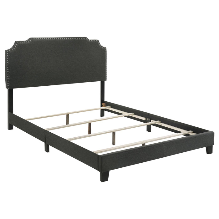 Tamarac Upholstered Nailhead Full, Eastern King & Queen Bed Beige & Grey - Orbit Furniture (Richmond,BC)