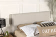 Pirro Queen Headboard - Orbit Furniture (Richmond,BC)