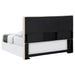 Pirro Queen Headboard - Orbit Furniture (Richmond,BC)