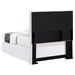 Pirro Twin Headboard - Orbit Furniture (Richmond,BC)